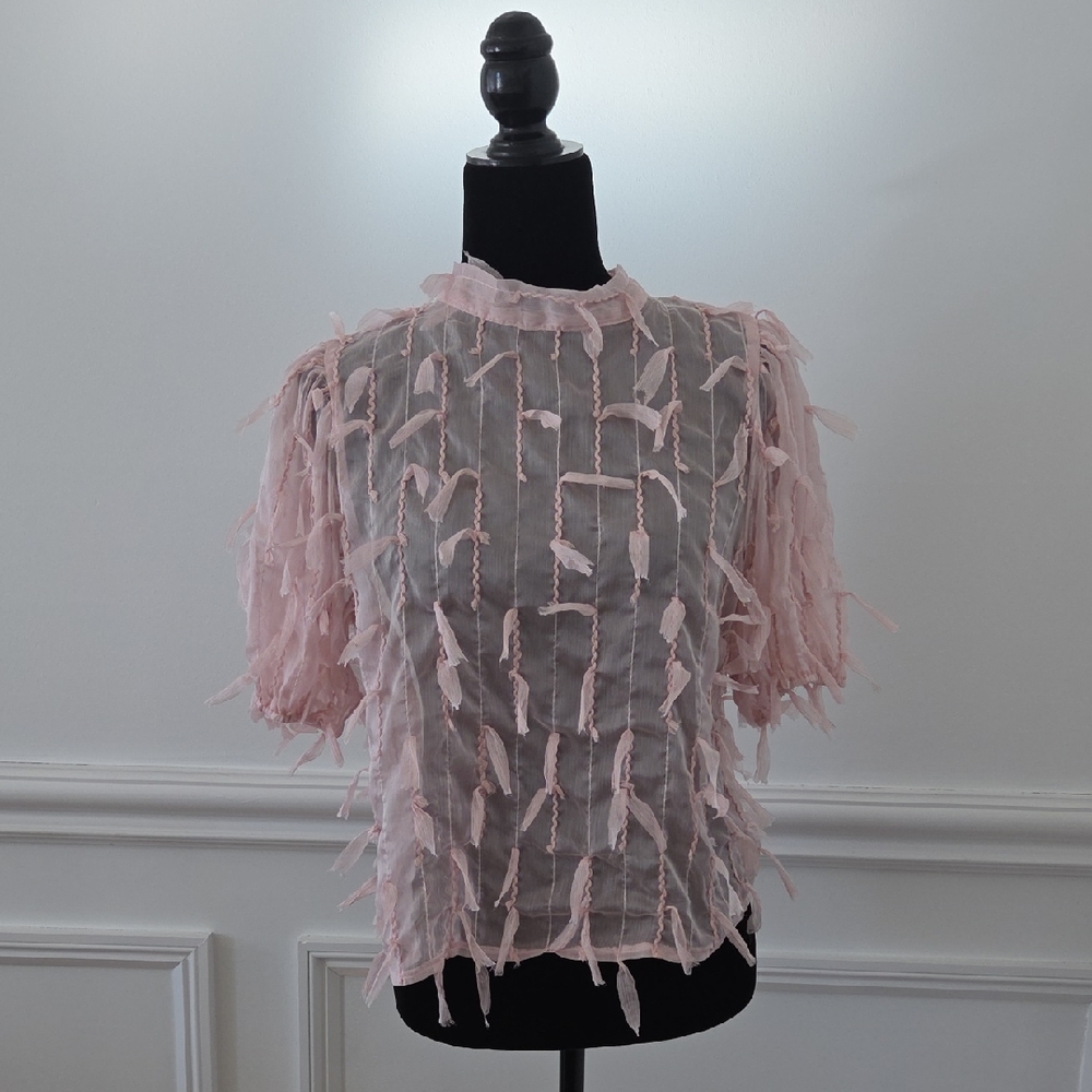 NWT Elegant Pink Sheer Top